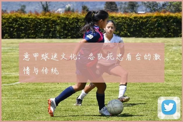 意甲球迷文化:各队死忠看台的激情与传统
